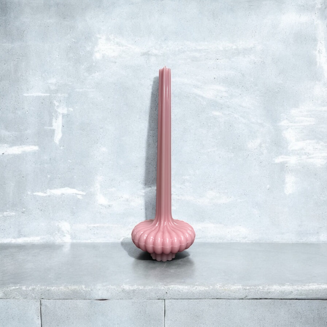 Rose Éclosion